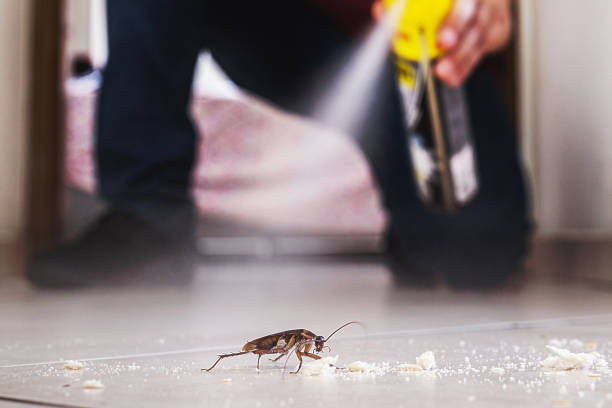 Best Bed Bug Extermination  in Fort Rucker, AL